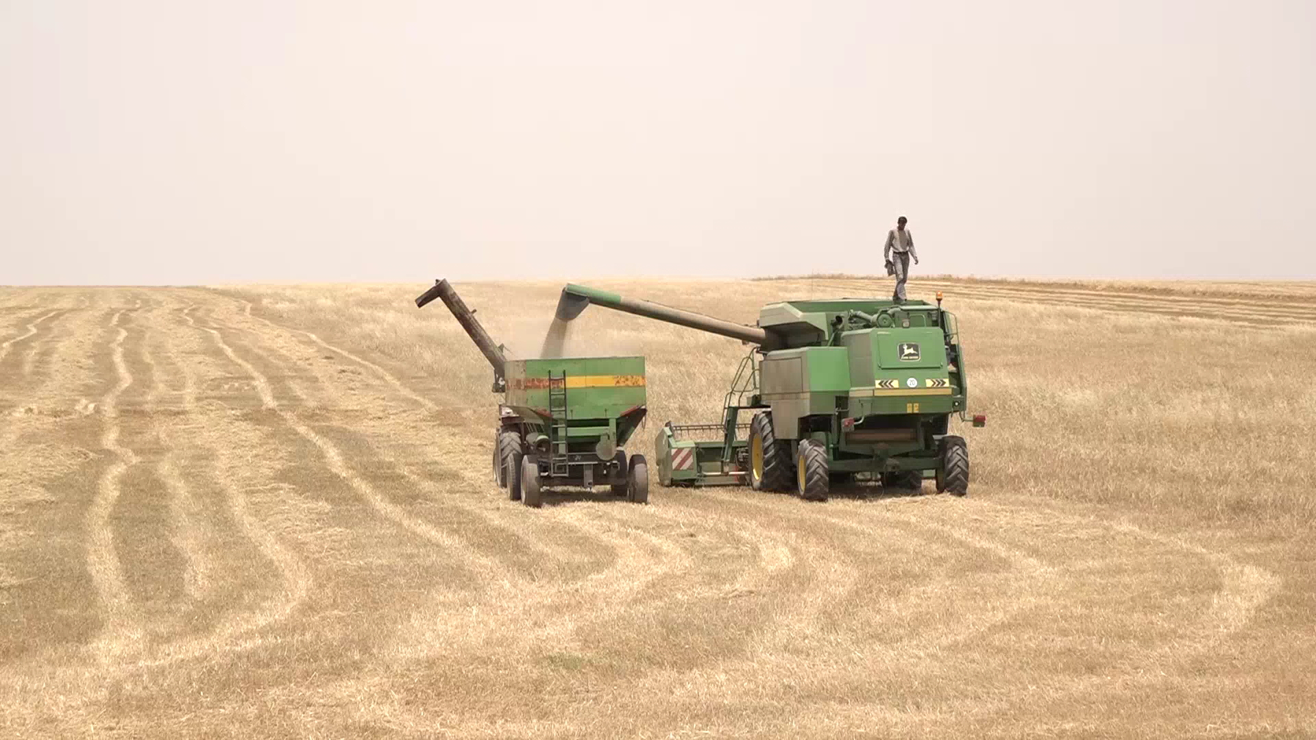 Hikûmeta Sûriyê li beranber rêveberîya xweser nirxê genim bilind kir